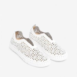 Elegant yokono White Perforated Women's Sneakers